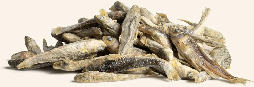 Freeze Dried Minnows